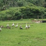 ジャックのパン屋 - 