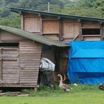 ジャックのパン屋 - 