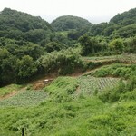 ジャックのパン屋 - 