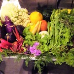 レフェルヴェソンス - Ars longa, Vita brevis アルチザン野菜:本日使う47種の野菜