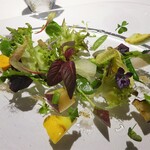 レフェルヴェソンス - Ars longa, Vita brevis アルチザン野菜