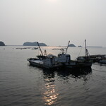 シーサイド　うわかい - のどかな湾