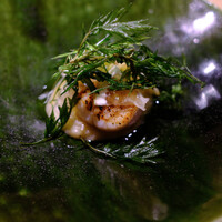 RISTORANTE IL NODO - 