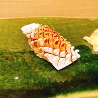 築地青空三代目別邸 - 白イカ