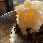 挽肉と米 - 大根おろしはあっさりして美味しい‼︎
      2020/8   by みぃこのごはん日記