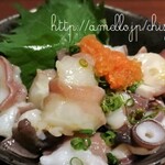 Tachiguizushi Hinatomaru - 