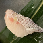 Sushi Shougun - 