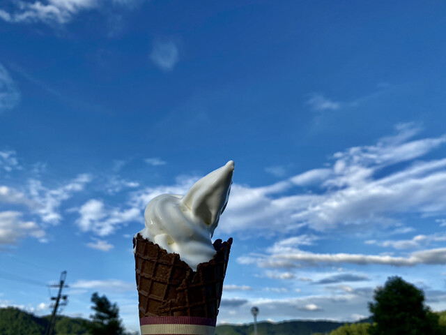 宝牧場しぼりたて工房 安曇川 アイスクリーム 食べログ
