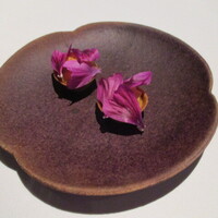 カセント - この日アタシがもっとも美味しいと思ったもの！