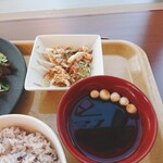 コスモス - 