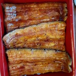 割烹 蒲焼 大沼 - 