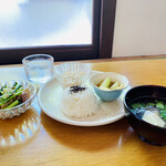 スノウドロップ - 