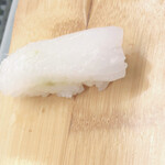 美松 - アオリイカ