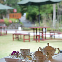 フレンチレストラン やまもも - 