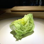 トレイス - レタス