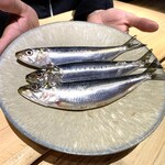 トレイス - 鰯が