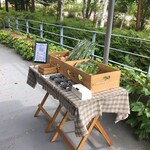 森の中の朝食とカフェの店　キャボットコーヴ - 