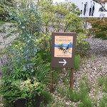 森の中の朝食とカフェの店　キャボットコーヴ - 