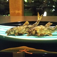 南禅寺参道 菊水 - 