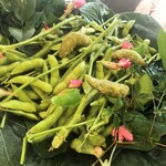 AMOUR - 枝豆の収穫