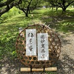 囲炉裏茶房 - 