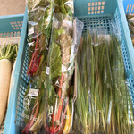 八紘学園 農産物直売所 - 【2020年06月】スイスチャードなども販売してました。