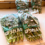 八紘学園 農産物直売所 - 【2020年06月】ほうれん草、買っちゃいました。