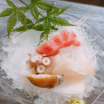 龍のかくれんぼ - 本日のお造り盛り合わせ