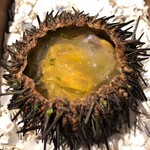 ル スプートニク - 2020/8