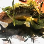 ル スプートニク - 2020/8