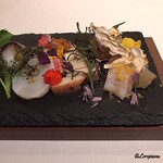 カーサ・デル・チーボ - 蛸ﾃﾘｰﾅ､鮃 椎茸締め