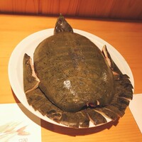 柳家錦 - 