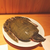 柳家錦 - 