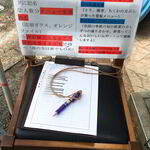 本格手打うどん 大河 - 