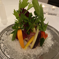 カーザ ヴィニタリア - 