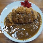 日正カレー - 