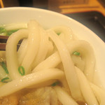 Daifuku Udon - うどん麺は太めで、やわもっちり♪