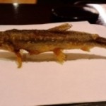 旬彩天 つちや - 稚鮎