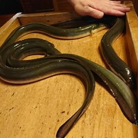 日本料理 梅林 - 