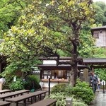 円覚寺佛日庵 - 境内、泰山木も開花