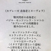 SALONE TOKYO - 