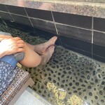 ベーカリー＆テーブル 東府や 足湯カフェ - 