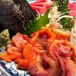 Uohama - 赤貝