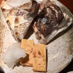 めしの助 - 真鯛かぶと塩焼き