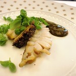 ペレグリーノ - 