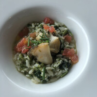 International cuisine subzero - 