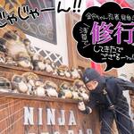 NINJA Cafe & Bar - 