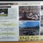 とんかつ 栄ちゃん - 