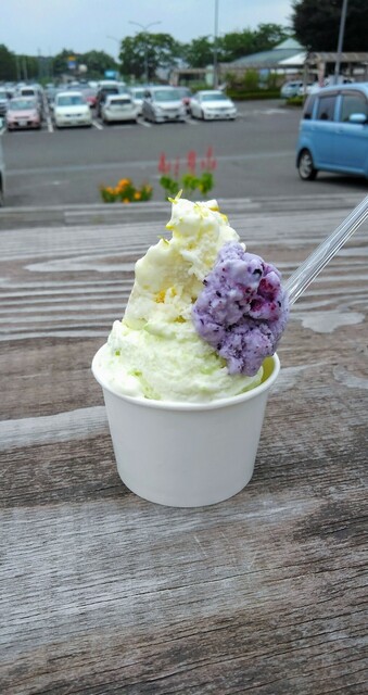 アイス工房 ツースリー 道の駅安達店（two-three） - 松川（ジェラート・アイスクリーム）の写真