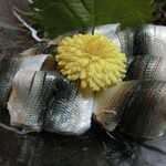 松翁 - 名残の新子